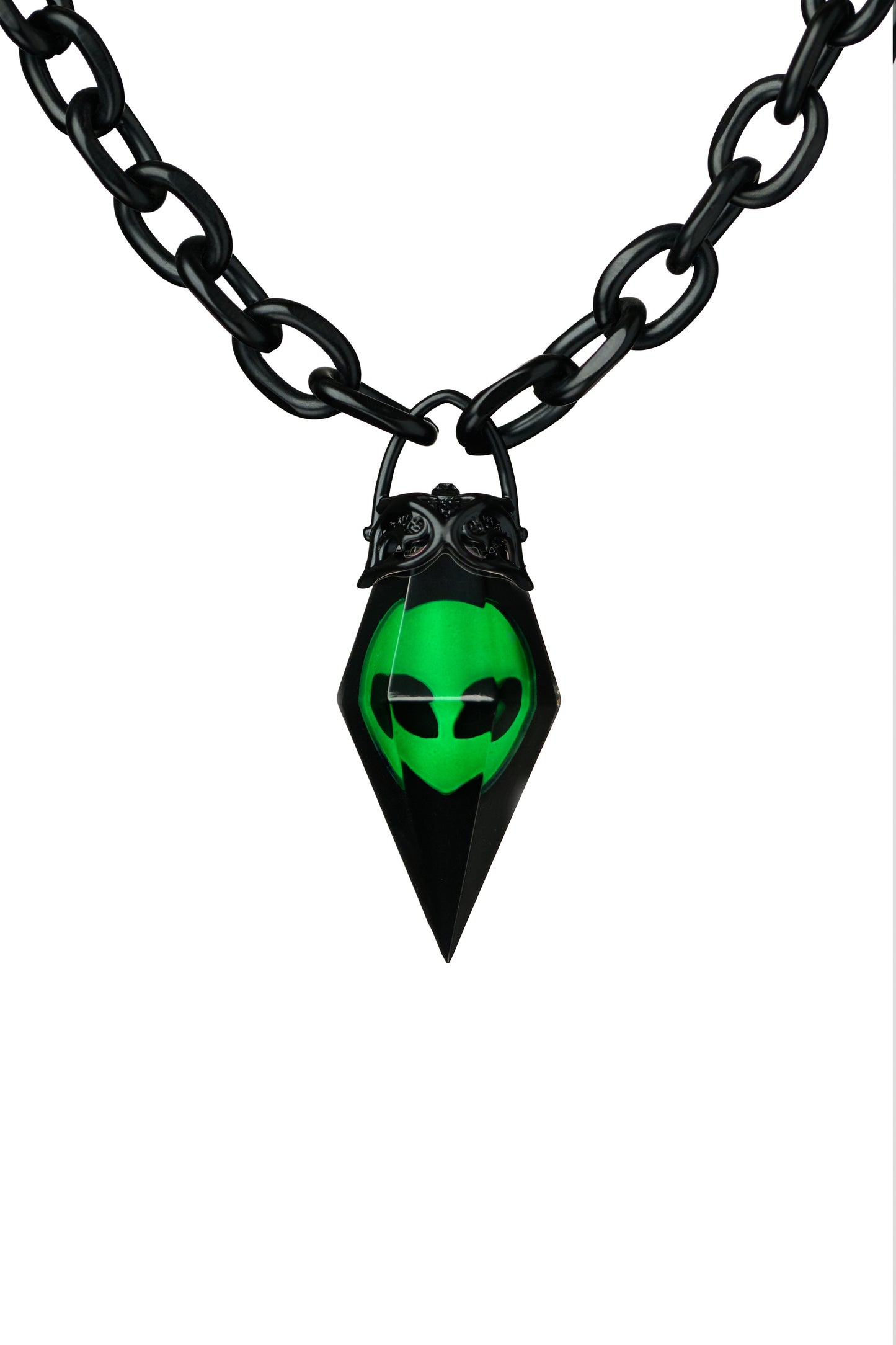 👽 FESTIVAL ROKZ 👽