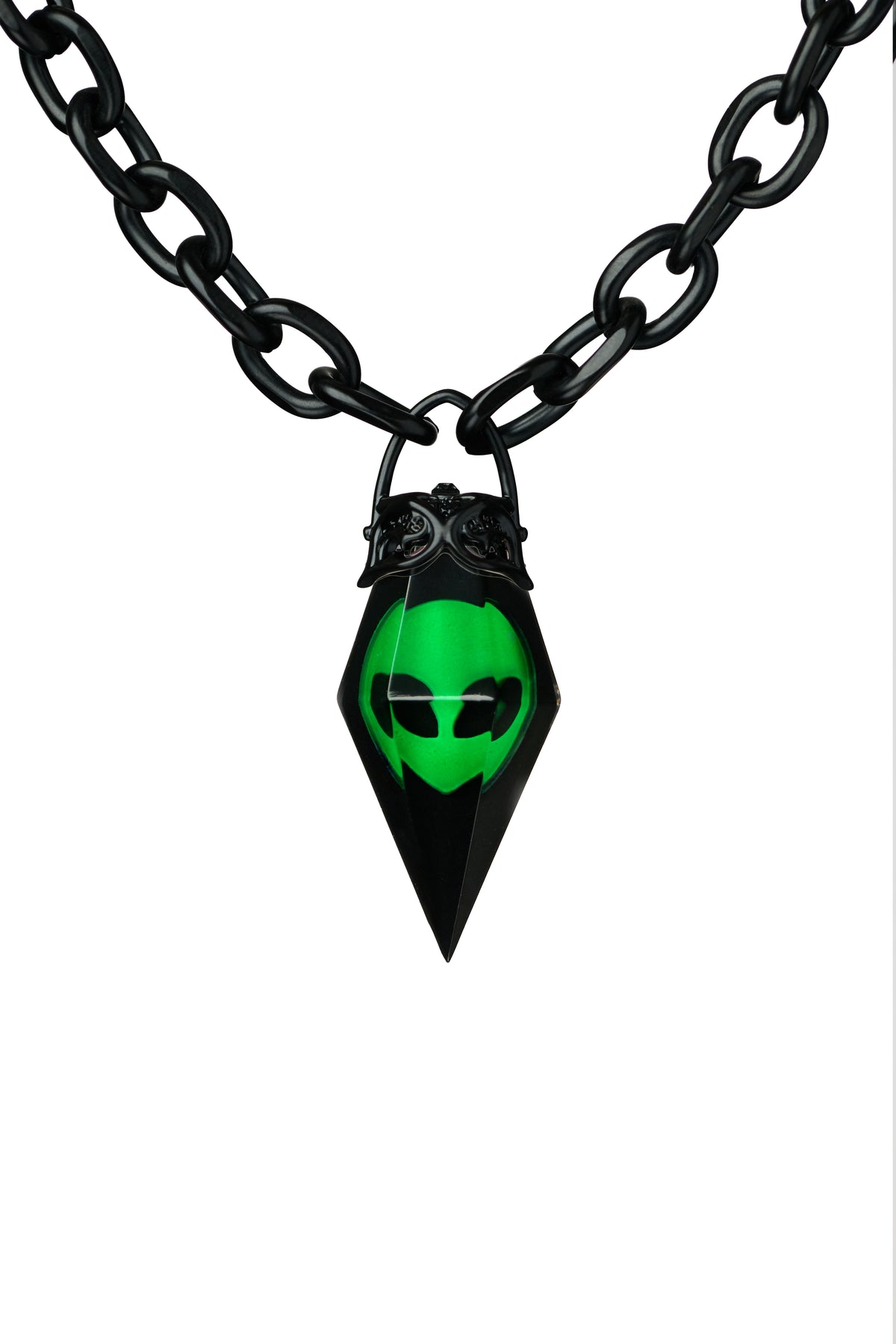 👽 FESTIVAL ROKZ 👽