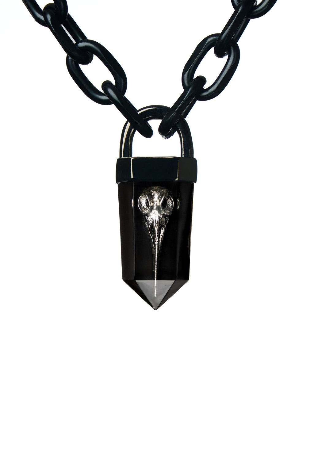 Bird Skull