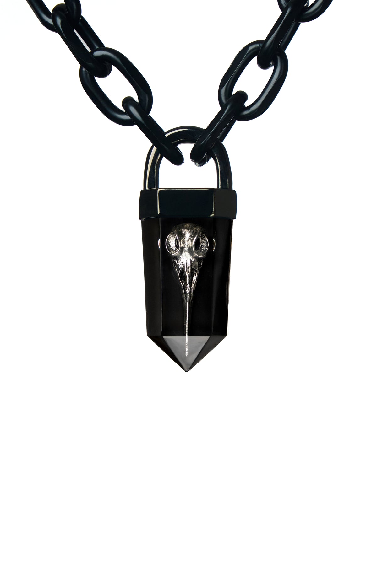 Bird Skull