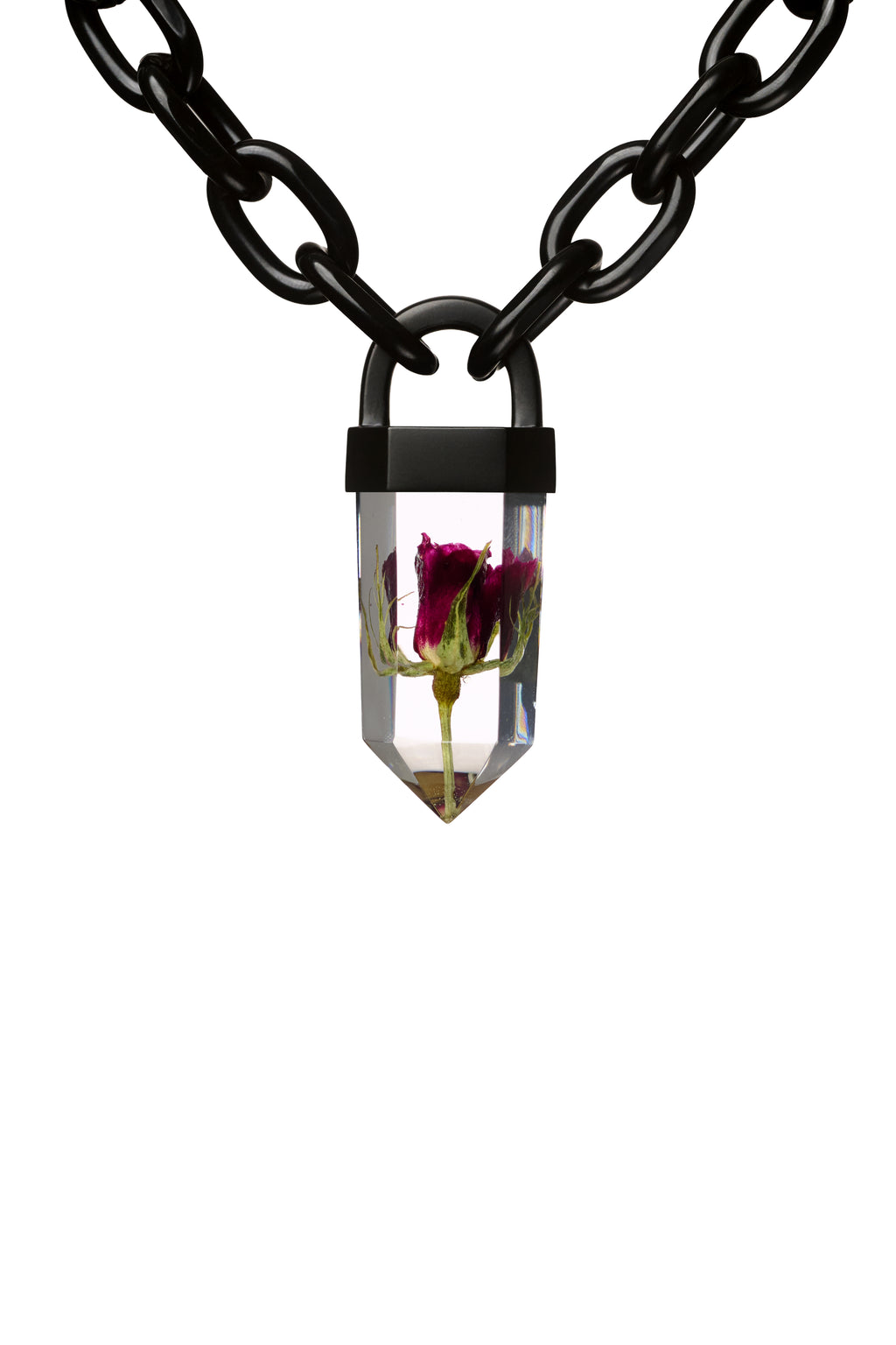 Dark Red Rose