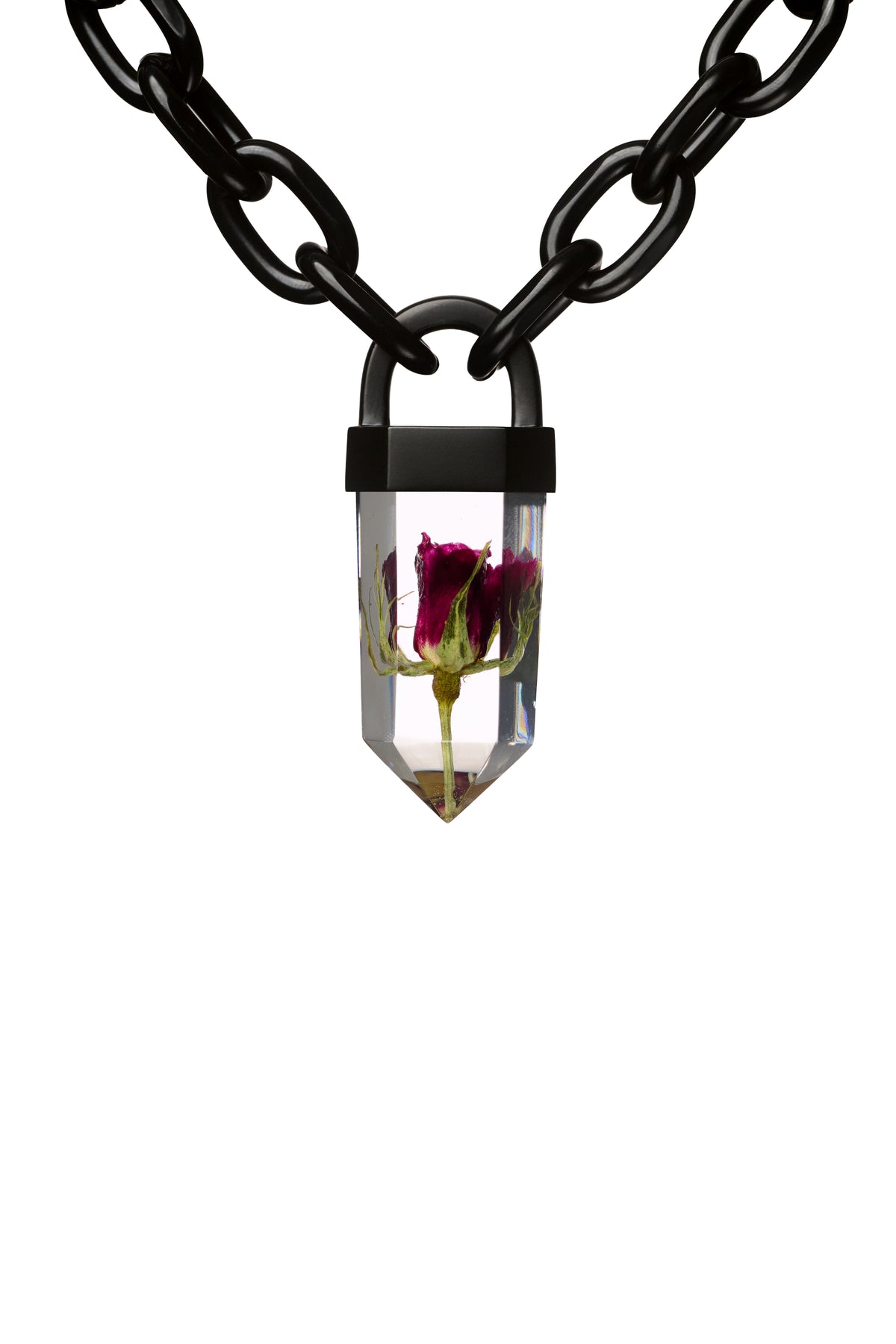 Dark Red Rose