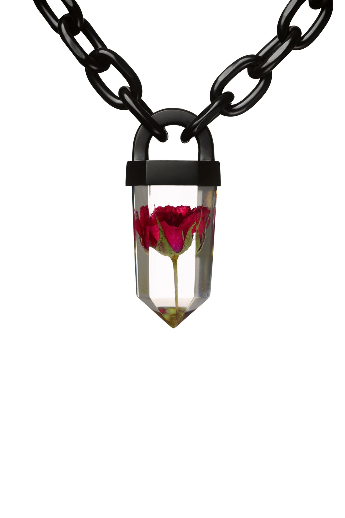 Red Rose
