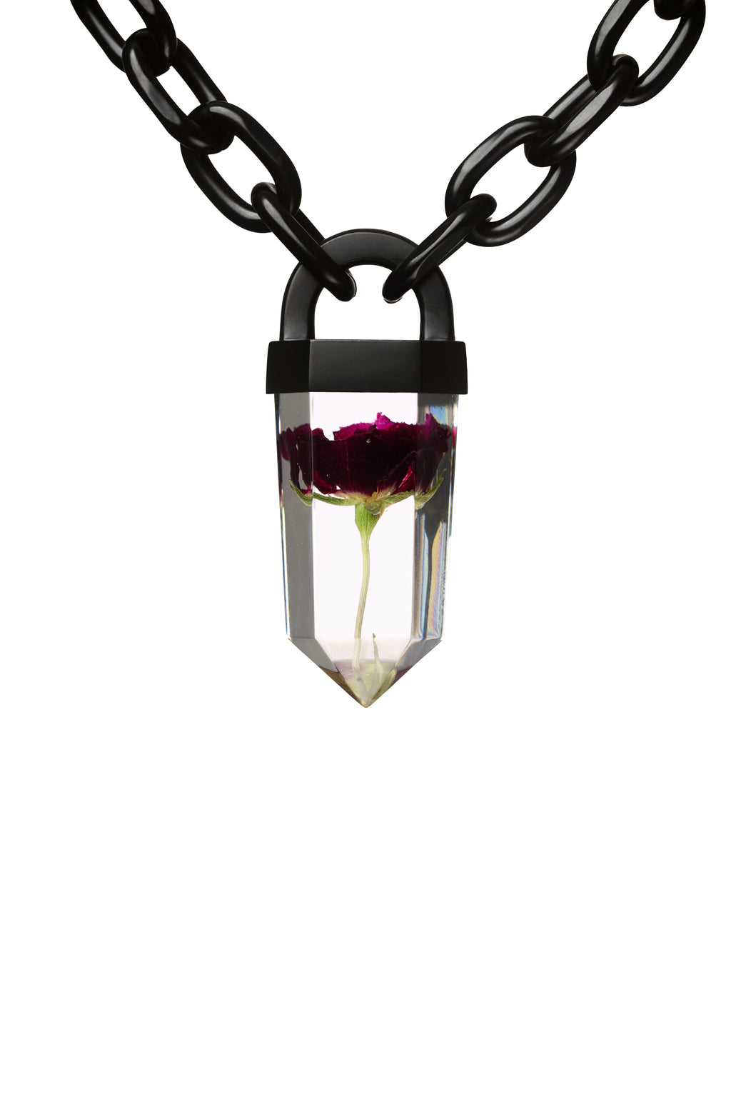 Dark Red Rose