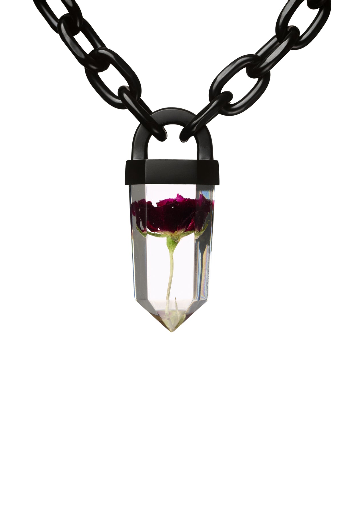 Dark Red Rose