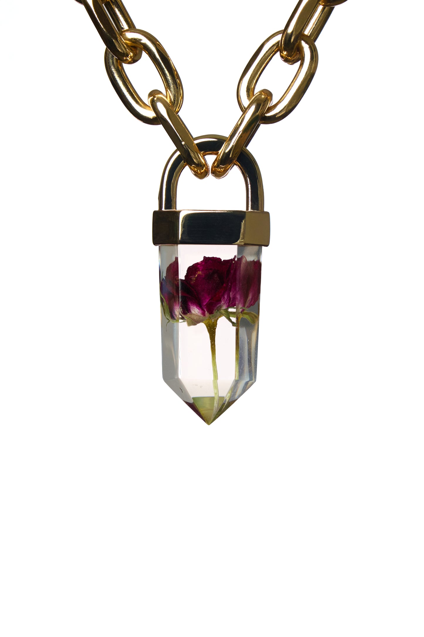 L'Éden d'Or 🌹